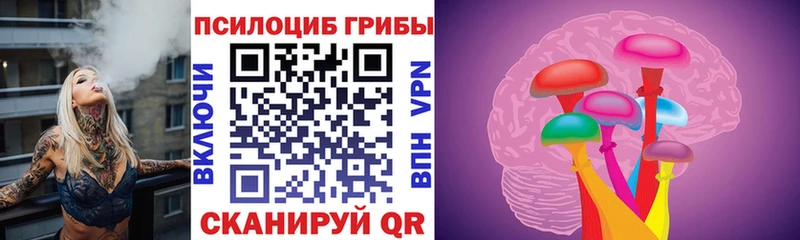 Галлюциногенные грибы Psilocybine cubensis  наркошоп  Приволжский 