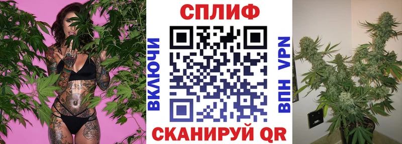 ссылка на мегу онион Приволжский Бошки марихуана тримм